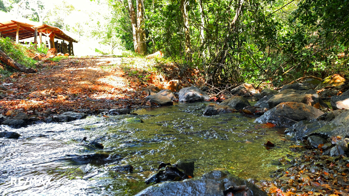 NARANJA ESTATE- 15 MINUTES FROM PLAYA GARZA Guanacaste | REMAX