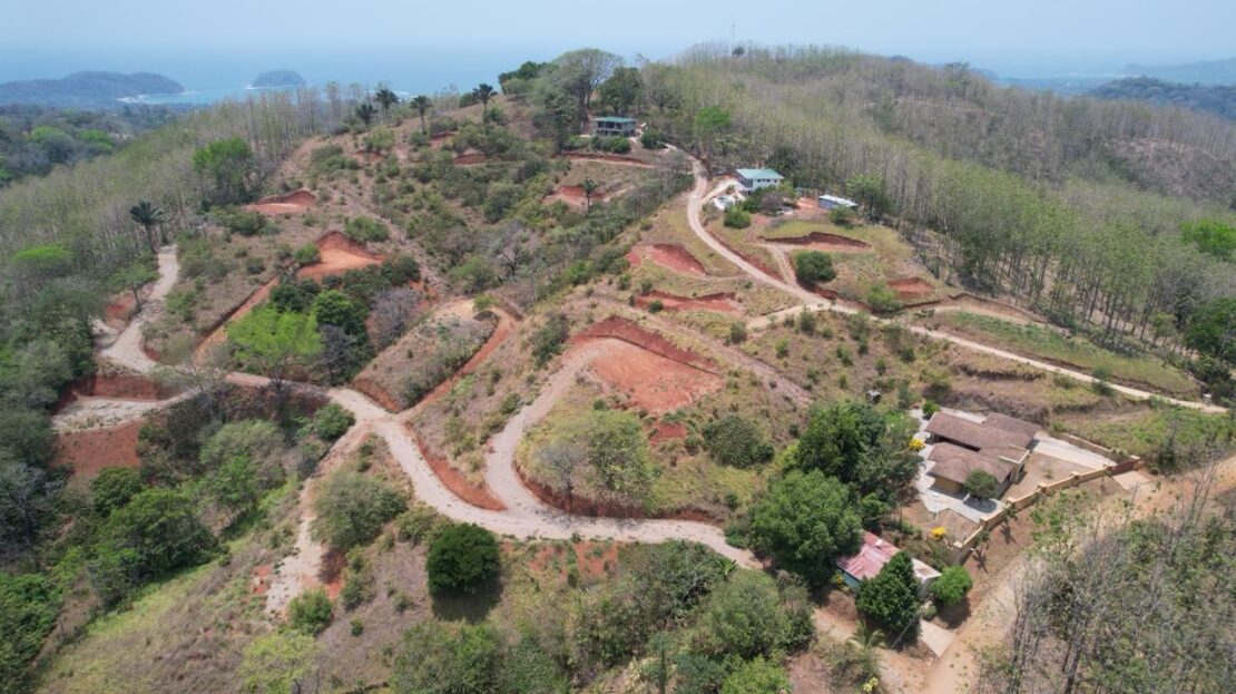 NATURALS LOTS (5)  | REMAX