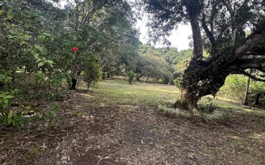 Beautiful property, Sale, Orotina Santa Rita