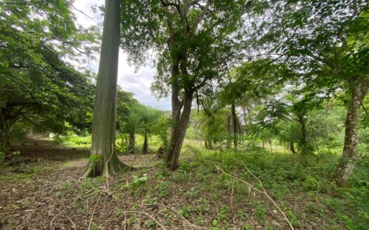 Stunning Farm in Coyolar de Orotina