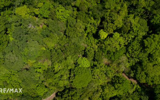 RESERVA CARRILLO