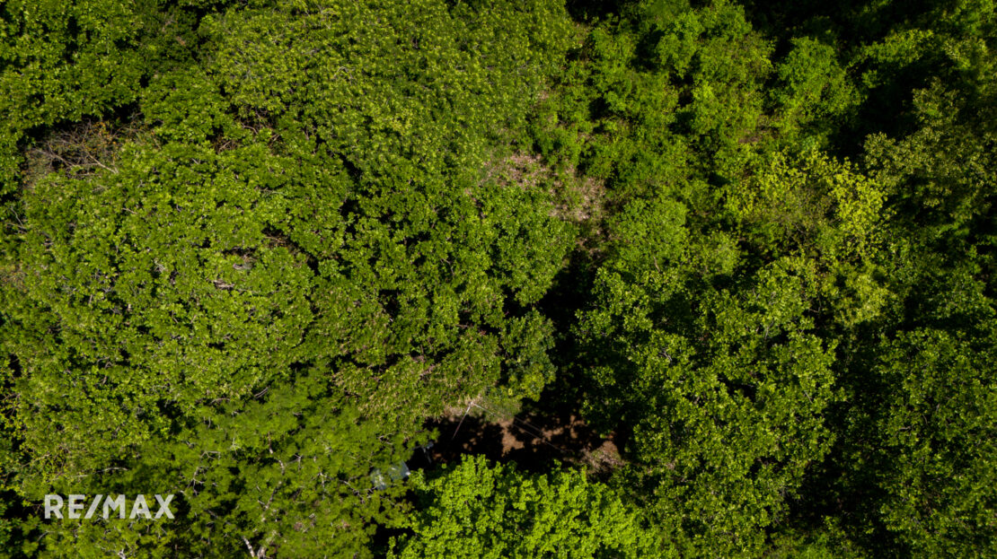 RESERVA CARRILLO Guanacaste | REMAX