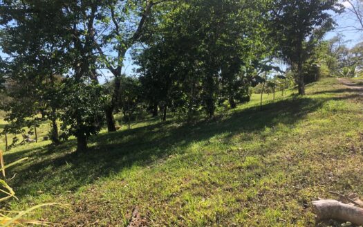 SPECTACULAR LOT IN ESTRADA!!!