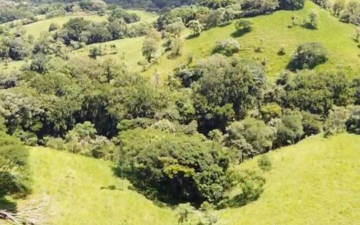 San Mateo For Sale 28595 | RE/MAX Costa Rica Real Estate