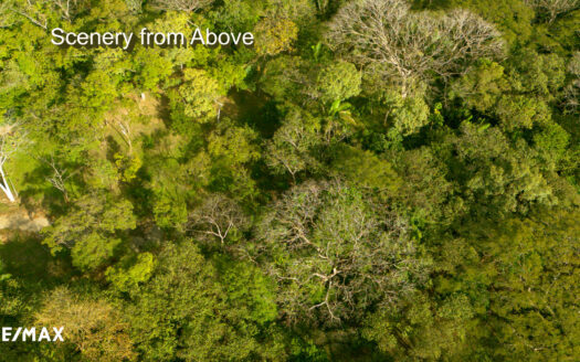 Secluded Oasis: Your Sanctuary Near Del Mar Academy