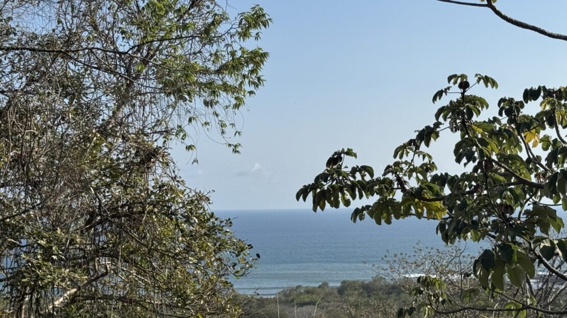 Stunning Ocean view lots in Camaronal Beach Guanacaste | REMAX