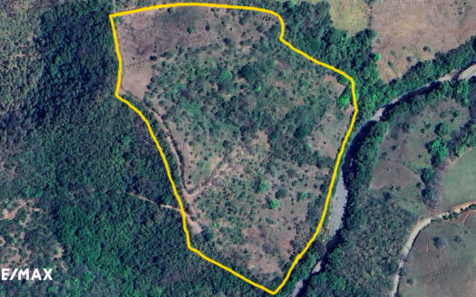 The Finca Bosque Estate