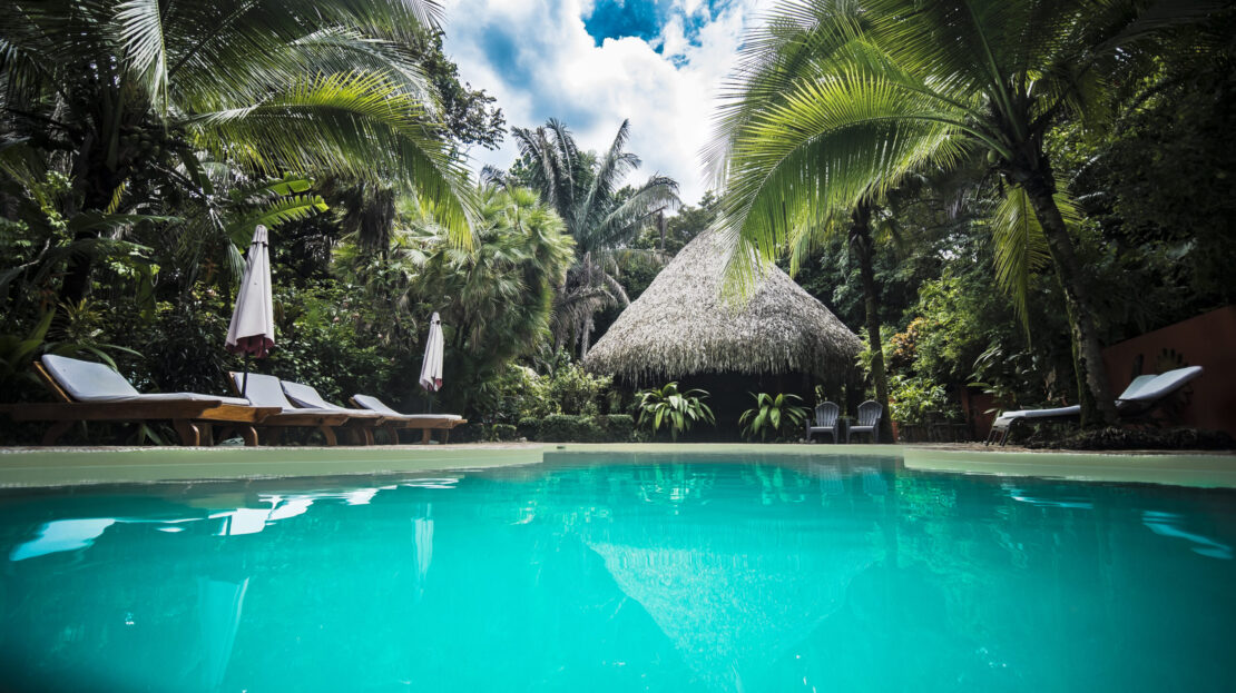 🌴 Beautiful jungle hotel
