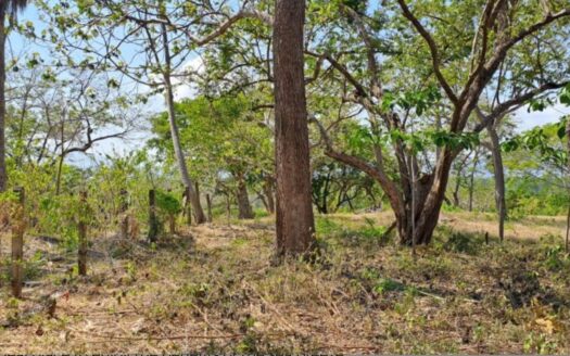 Own a Piece of Paradise in Guacalillo, Bajamar: Ocean View Property