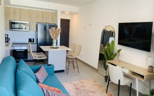 FOR RENT. Furnished apartment. Nucleo Sabana. San José CR