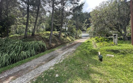 Cartago