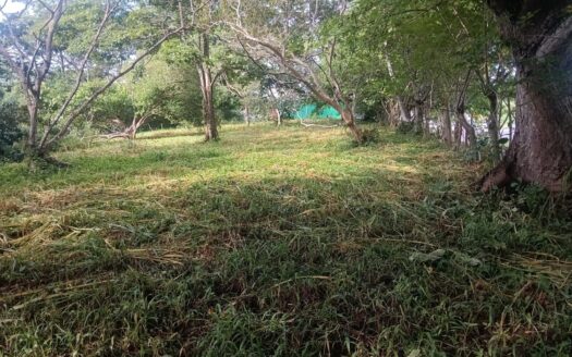 Strategic Land for Sale in Orotina – Ideal for Commercial or Development!