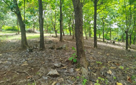 For Sale: 60,634 m² Development Property in Mastate, Orotina – Residential, Commercial & Hotel Zoning