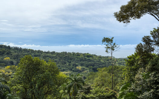 Spectacular Ocean view Lot in Luxury Community