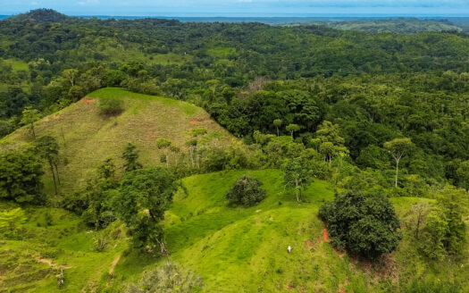 A dream farm with river, waterfalls, pastures, forest and ocean views!