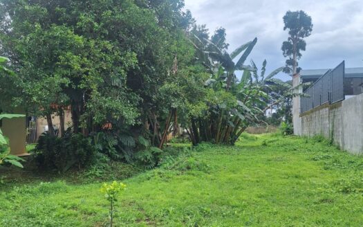 GREAT INVESTMENT OPPORTUNITY! MIXED-USE PROPERTY IN LAS CRUCES, SAN PABLO DE HEREDIA.