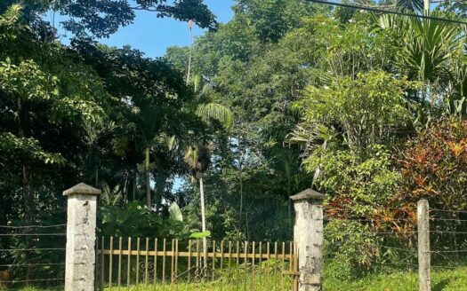 🌿 Unique Property for Sale in Higuito, San Mateo