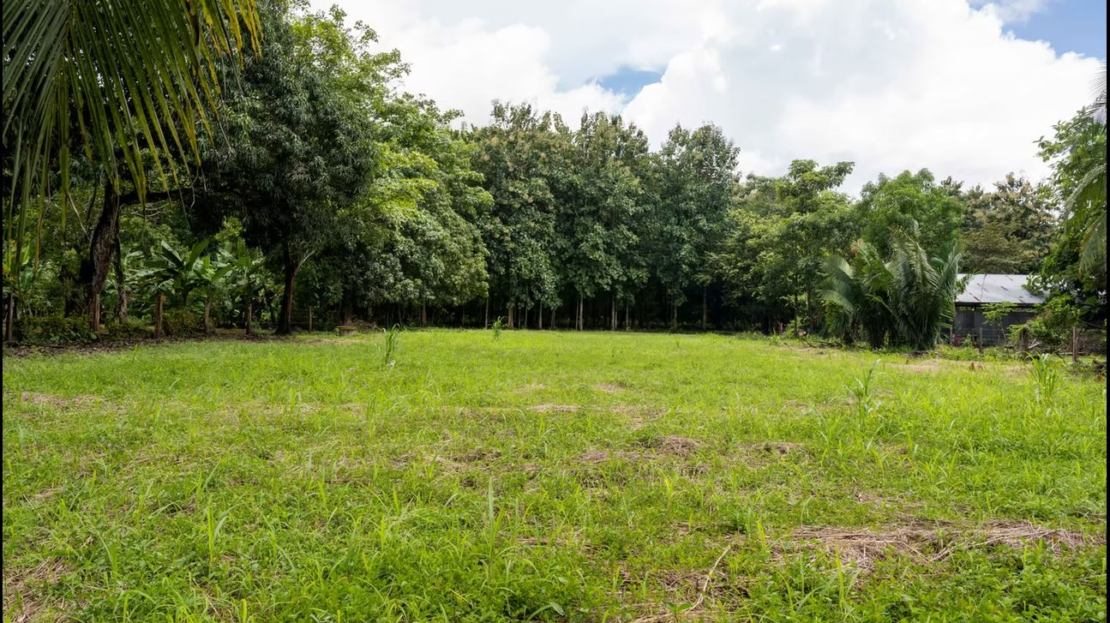 Costa Rica Real Estate
