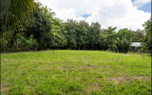 3,100 m² Residential Lot with Great Location in La Y Griega, Nandayure