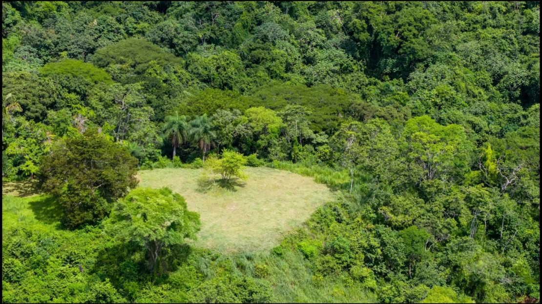 Costa Rica Real Estate