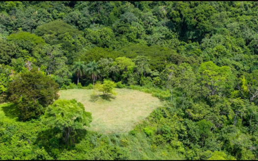 124.4-Hectare Ocean View Property with Springs and Development Potential in El Triunfo, Guanacaste