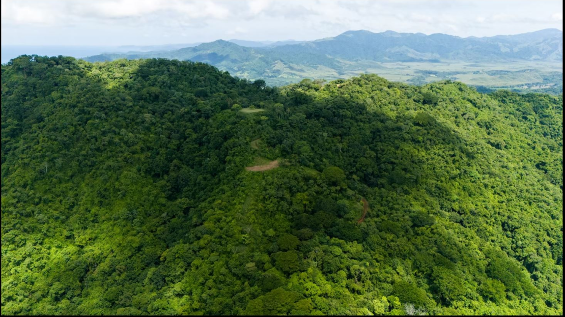 124.4-Hectare Ocean View Property with Springs and Development Potential in El Triunfo