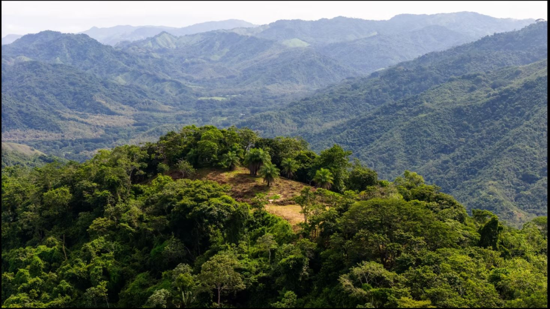 Guanacaste