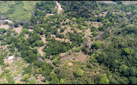 223-Hectare Property in Río Seco, Lepanto for Ranching and Development Near Top Beaches