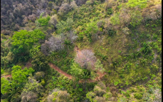 46-Hectare Property in Millal, Bejuco: Space, Nature & Beach Proximity