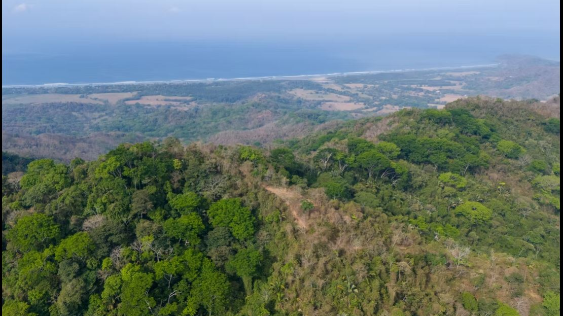 108 Hectares with Ocean-View Ridge and Mountain Terraces in Millal