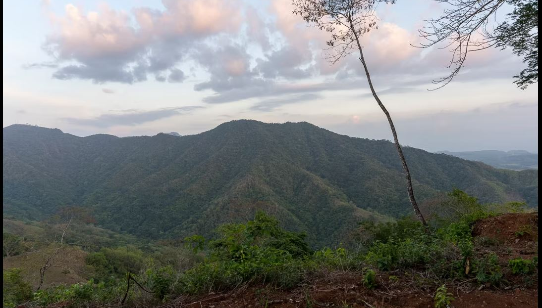 Costa Rica Real Estate
