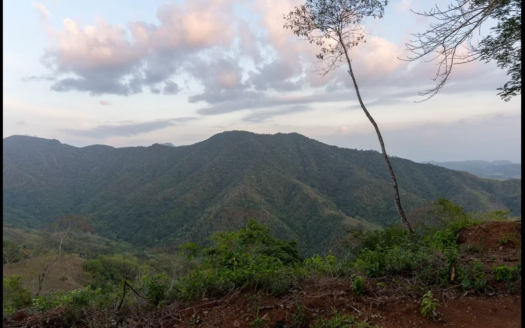 28 Hectares with Mountain Views and Livestock Potential in La Rusia, Bejuco