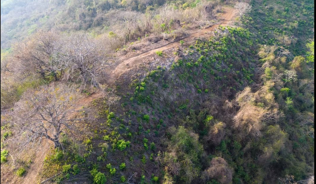 Costa Rica Real Estate