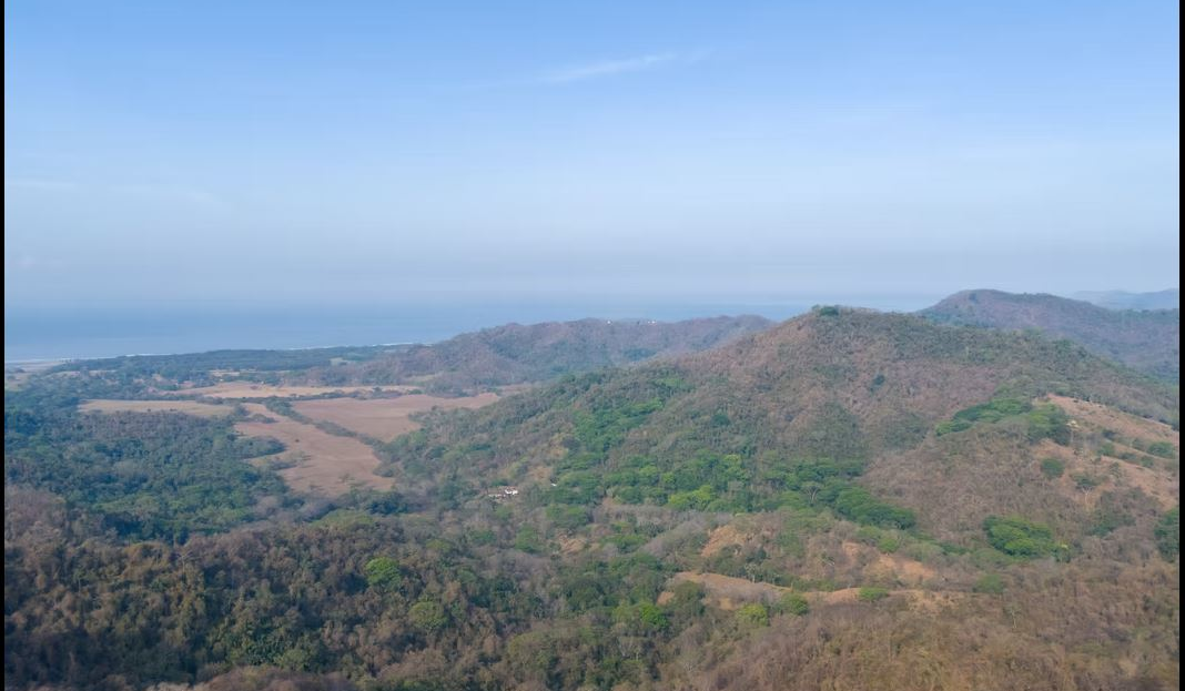 27 Hectares with Ocean View Ridge and Mountain View Terraces in Millal