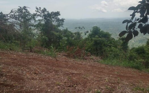 🌿 For Sale: Majestic 175-Hectare Property in San Juan de Mata, Turrubares 🌿