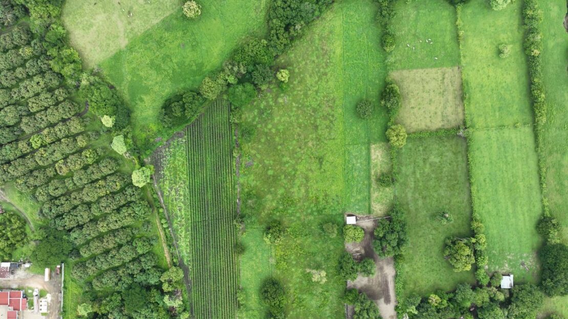 Prime 2.1 Hectare Flat Lot with Road Access in Santa Rita