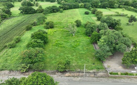 Prime 2.1 Hectare Flat Lot with Road Access in Santa Rita, Nandayure