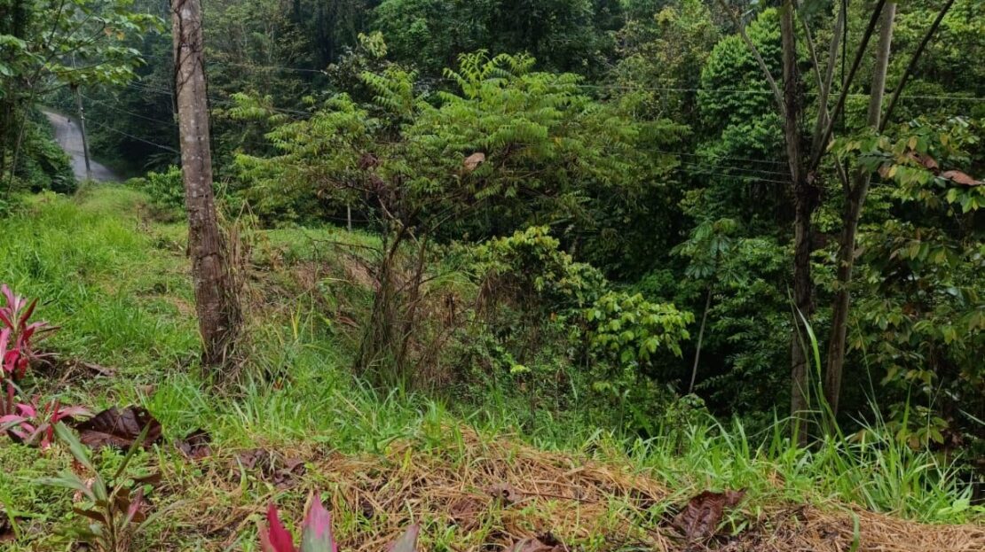 Costa Rica Real Estate