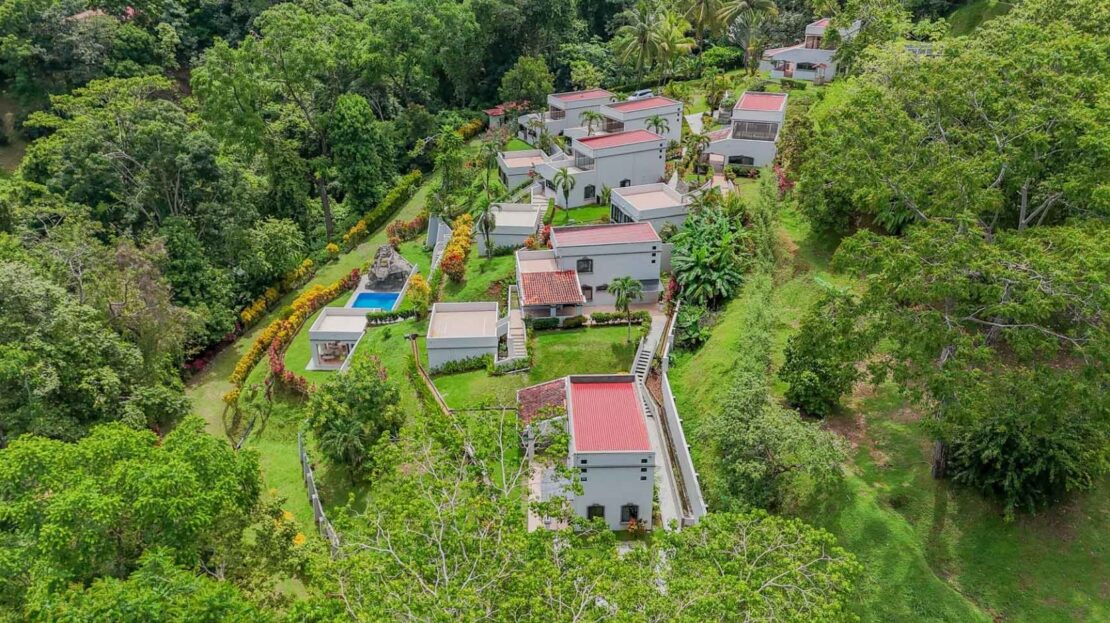 jungle surrounds