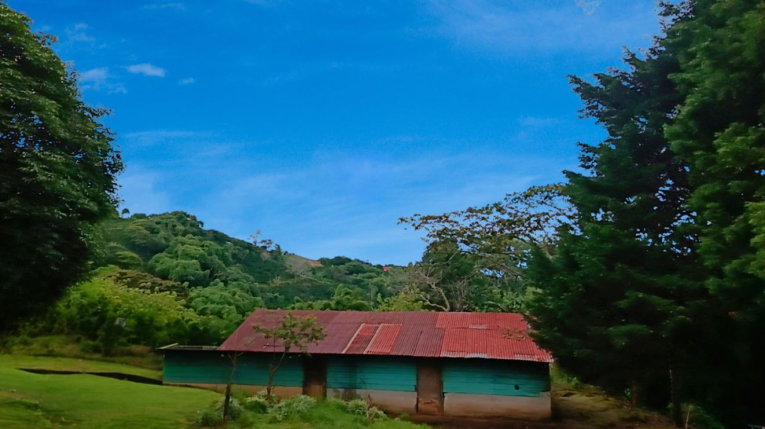 Naranjo