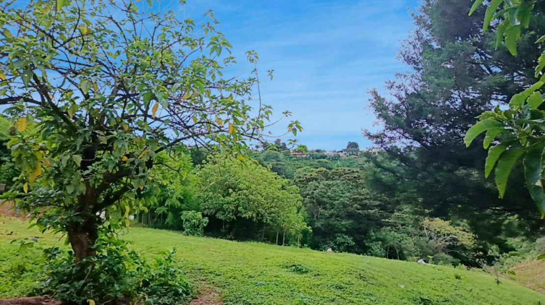 Costa Rica Real Estate