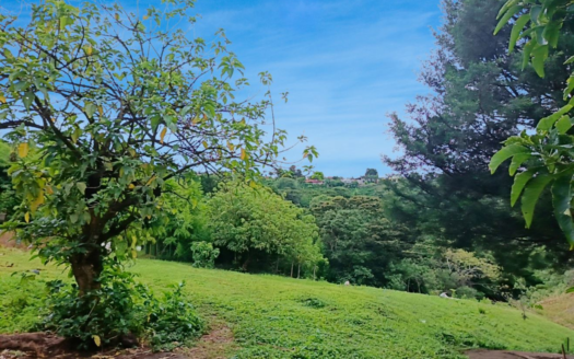 Property for Sale in Cirrí, Naranjo