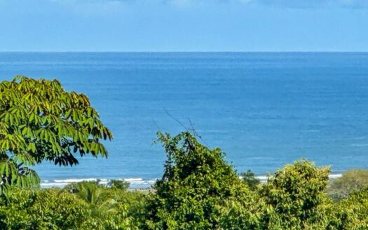 Ojochal Ocean View Home with Pool, River and Building Sites