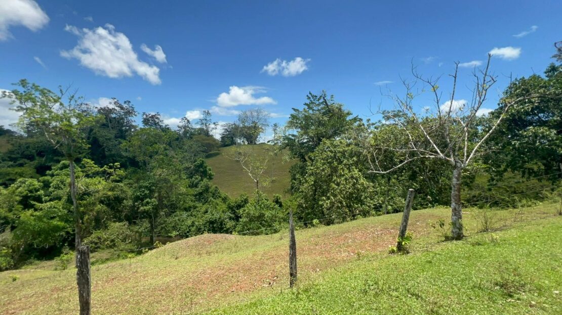 120-Hectare Farm for Sale – San Joaquín de Cutris