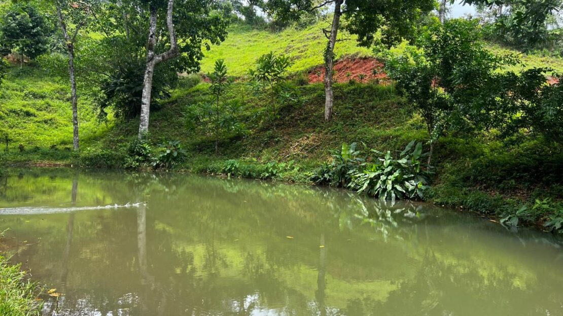 Garabito Central Pacific Costa Rica>Tarcoles>Bijagual For Sale 93919 | RE/MAX Costa Rica Real Estate