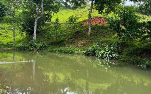 Garabito Central Pacific Costa Rica>Tarcoles>Bijagual For Sale 93919 | RE/MAX Costa Rica Real Estate