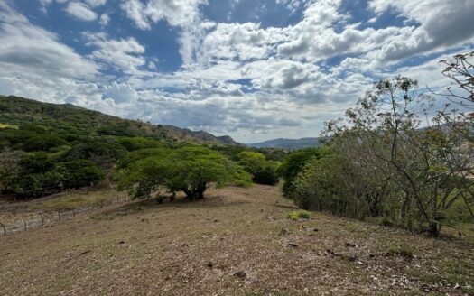 Mora