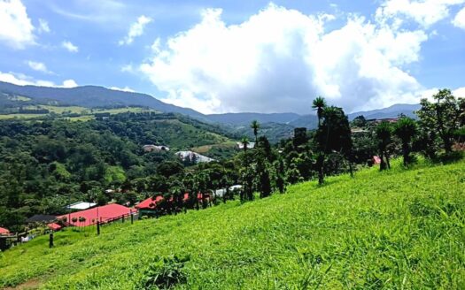Land For Sale, Trojas, Sarchí.