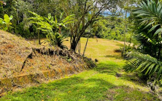 Gorgeous 2.92-Acre Build-Ready Lot in Fila Cacao Ridge, Platanillo