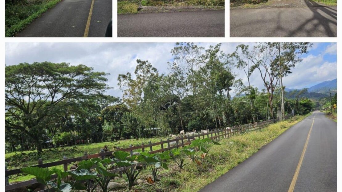 Costa Rica Real Estate